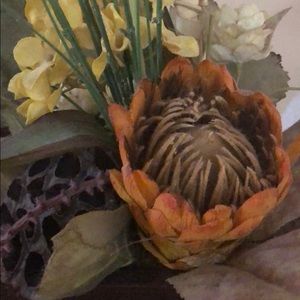 Meet your Posher, Jeannette